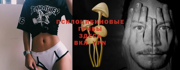 прущая мука Бородино