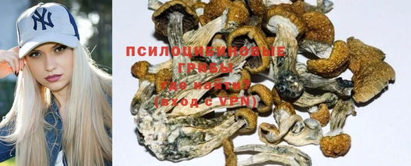 Альфа ПВП Бронницы