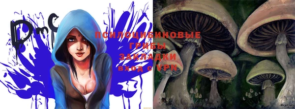 прущая мука Бородино