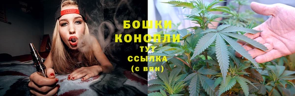 прущая мука Бородино