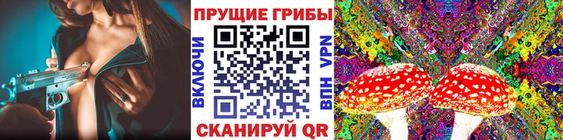 Псилоцибиновые грибы Psilocybe  Миасс 